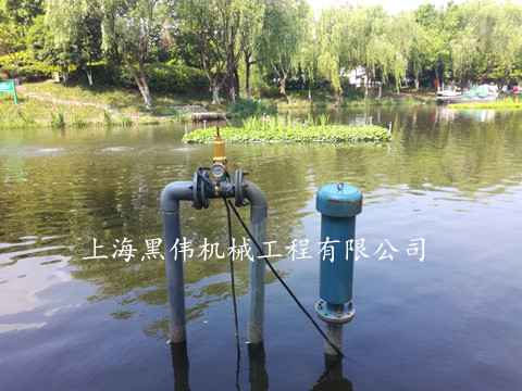 河道治理沉水式鼓黄瓜视频在线下载 河道治理沉水式鼓黄瓜视频在线下载
